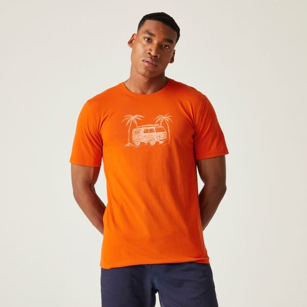 T-shirt męski Regatta CLINE VIII pomarańczowy