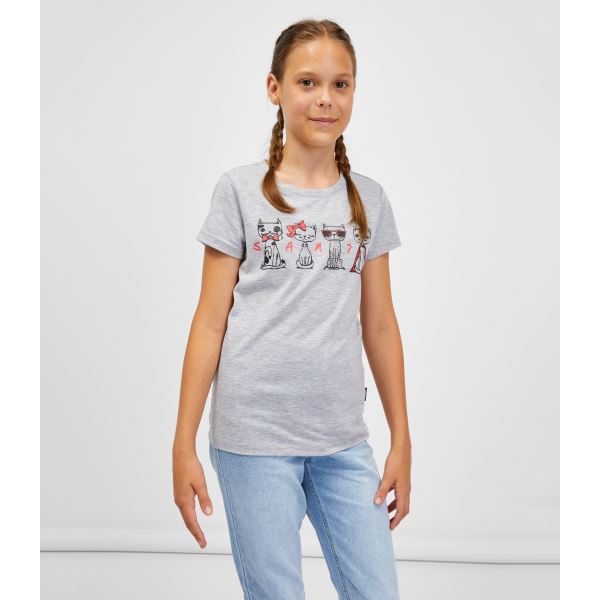 Dziewczęca koszulka AXILL SAM 73 w kolorze szarym