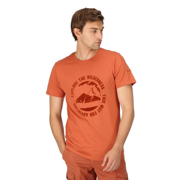 Męska bawełniana koszulka Regatta CLINE VII pomarańczowa