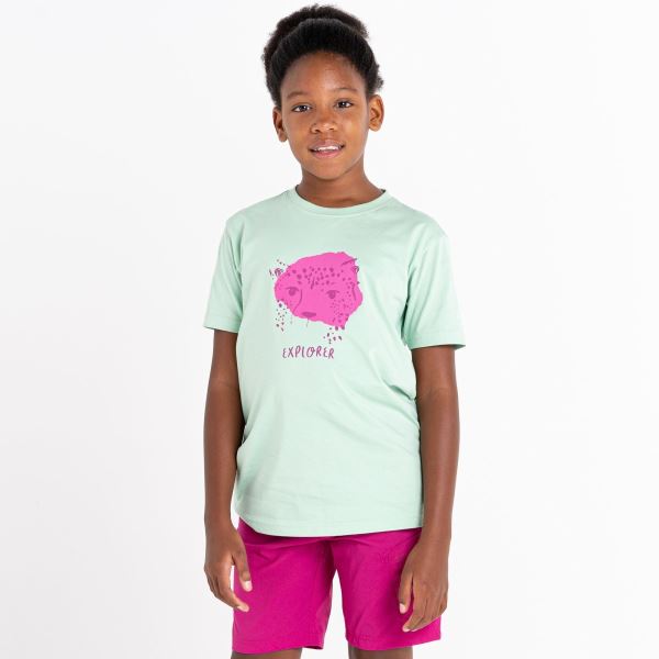 Bawełniana koszulka dziecięca Dare2b TRAILBLAZER jasnozielona/różowa