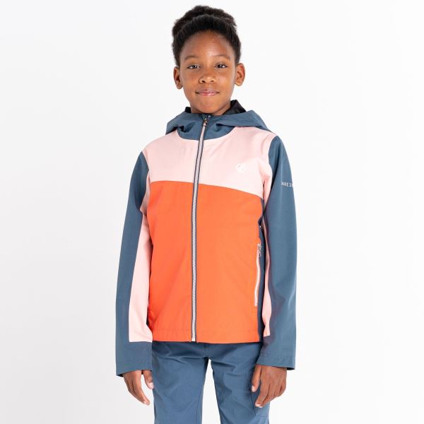 Dziecięca kurtka outdoorowa Dare2b EXPLORE w kolorze niebiesko-szarym/pomarańczowo/różowym