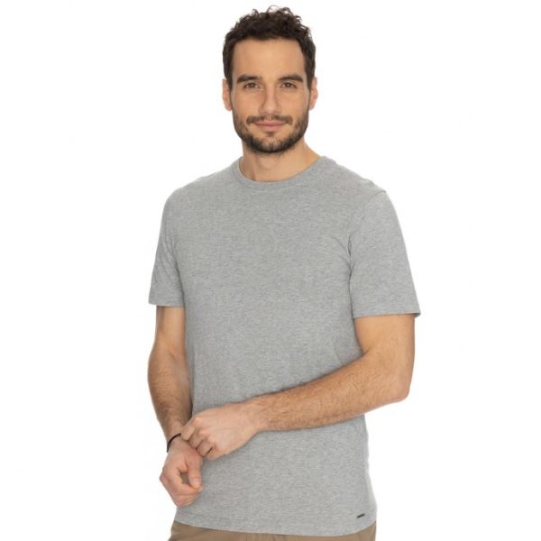 T-shirt męski BUSHMAN BORNO w kolorze jasnoszarym